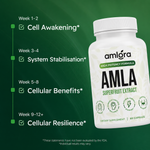 Amla Superfruit Capsules